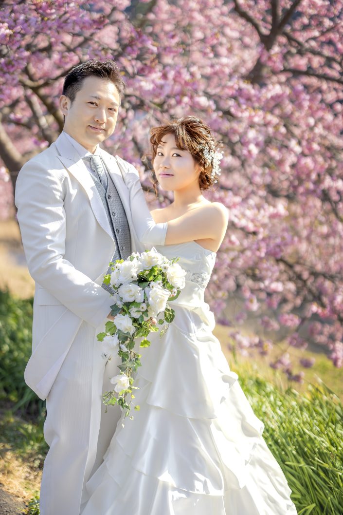 河津桜　南伊豆桜　結婚式前撮り　桜祭り