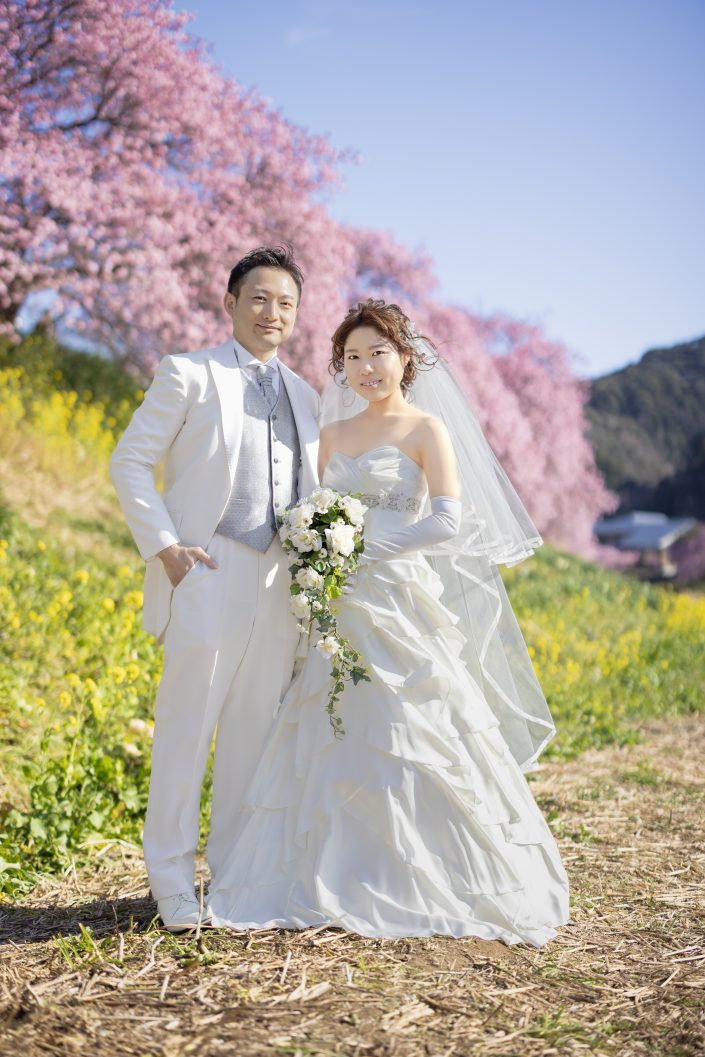 河津桜　南伊豆桜　結婚式前撮り　桜祭り